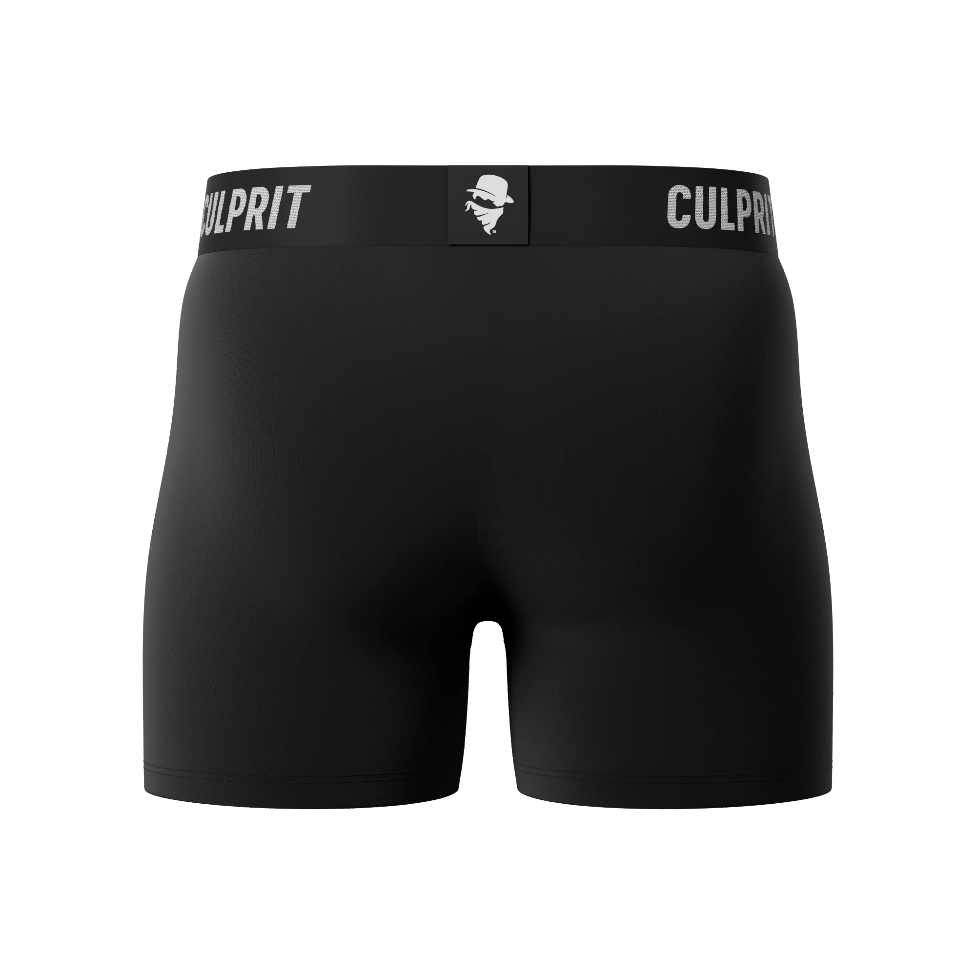 Stealth Black 🥷 Boxer Briefs w/ fly - Image 5